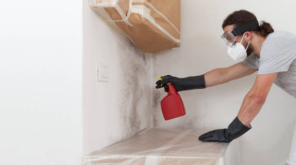 Professional Mold Inspection And Testing technician working in Beulah, MI